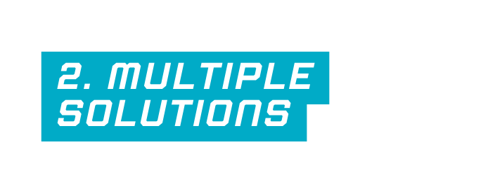2 MULTIPLE SOLUTIONS